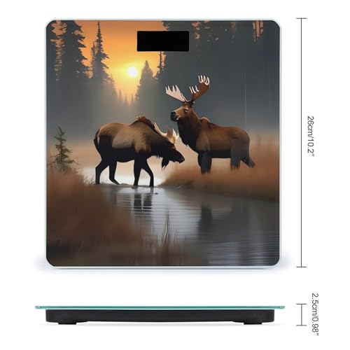 Báscula digital de vidrio templado para baño 400 lb miniatura 2