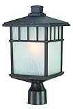 Dolan Designs 9116-34 Barton 1 Light Post Light, Olde World Iron