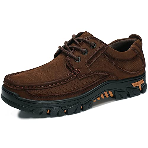 [J-WEWIN] EH[LOV[Y Y {v 3E L U`bv 3z[ RC Xj[J[rY   Xgb`tBbg h AEghA JWA jp 傫TCY 24.0cm`29.0cm