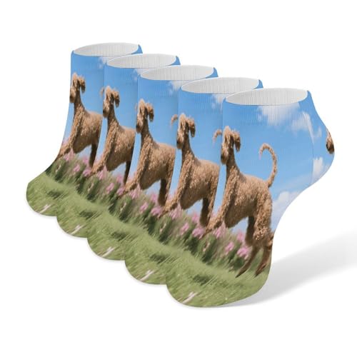 VstaDank Poodles Dog Ankle Socks 5 Pairs Fashion Invisible Low Cut Sock for Adult Casual Short Sock Soft Cozy No Show Socks