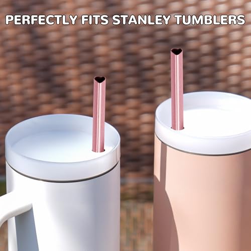 Pailles en acier inoxydable NiHome avec 2 brosses pour ne plus jamais manquer d'accessoire - 7