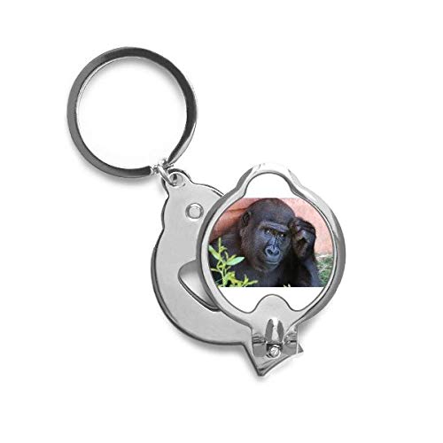 Chimpanzé coupe-ongles durable avec finition illustrée faune sauvage