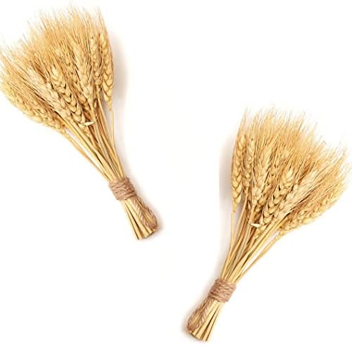 Factory Direct Craft Group of 2 Natural Dried Wheat Bundles 2 She...