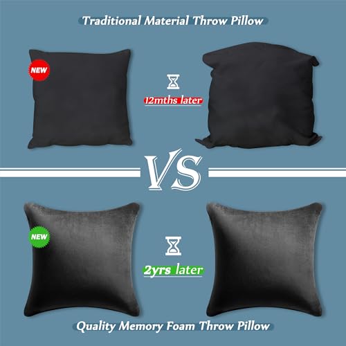 Image of AM AEROMAX 22 x22 Pillow Insert (Pack of 2) Memory Foam Throw Pillow Insert Sham Square for Decorative Cushion Bed Couch Sofa Without Deform After Longtime Use