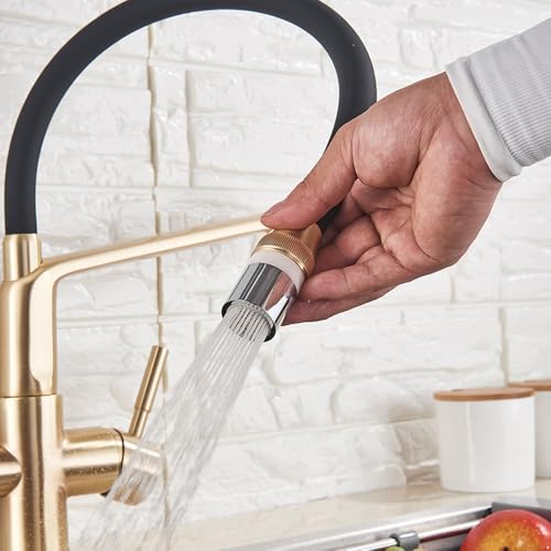 Robinet mitigeur purification d'eau chrome noir et or brossé à tirette