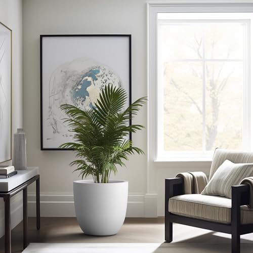 Image of Kante 18 Inch Dia Round Concrete Planter, Indoor Outdoor Large Plant Pot with Drainage Hole and Rubber Plug for Home Patio Garden, Pure White