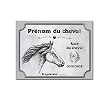 Pour une installation extérieure au soleil il vous faudra appliquer un anti UV type vernis (non fourni).
