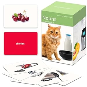 Picture My Picture Nouns Flash Card...