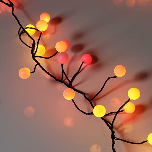 120 Sunset Berry Cluster Lights