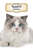  2020 Ragdoll Calendario: 107 Páginas  Tamaño A5  Planificador Semanal  12 Meses  1 Semana en 2 Páginas  Agenda Semana Vista  Tapa Blanda  Gato