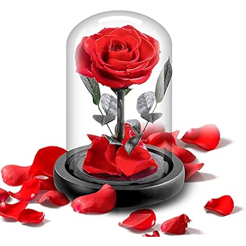 SINJYUN Eternal Rose Red, Beauty and The Beast Rose, Forever Rose in Glass Dome Glass Rose, Artificial Rose Flowers Preserved Rose, Multi-use for Home&Office Decorations, Valentine's Day, Mother's Day Cover