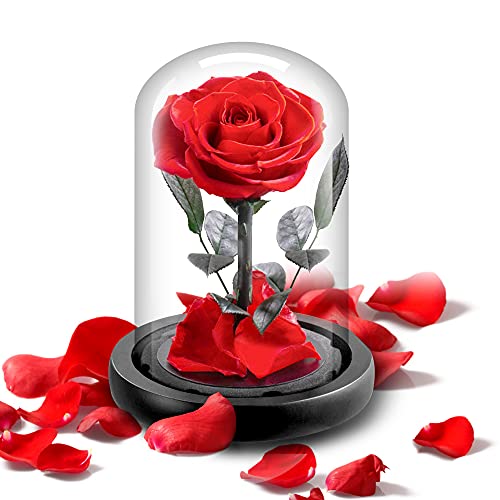 SINJYUN Rose im Glas,Geburtstags Geschenk für Freundin,Schöne und Das Biest Rose