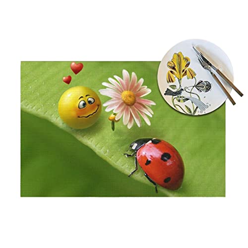 Sets de table faciles à nettoyer Insects Love pour protéger vos meubles