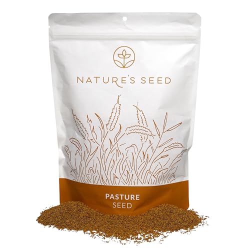 Nature’s Seed Alfalfa Seeds for Planting, Food Plot, Cover Crop, Green Manure, Pasture, Forage, 1 Lb