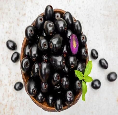 Fresh 100pcs Black Jamun Fruit Seeds