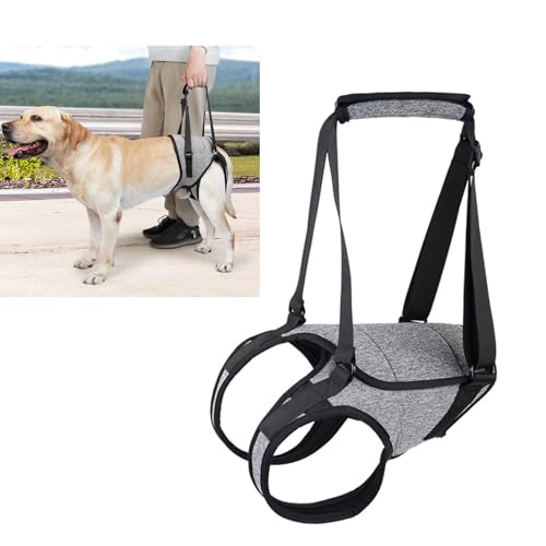 犬介護ハ-ネス 後ろ足 歩行補助リハビリテーション、負傷、欠陥犬、高齢犬、胴衣、調節可能、排泄阻害なし、関節炎、介護ストラップ、高齢犬牽引ロープ、歩行、登山、ペットケア用品、ティラ、高齢犬安全サポート (M)