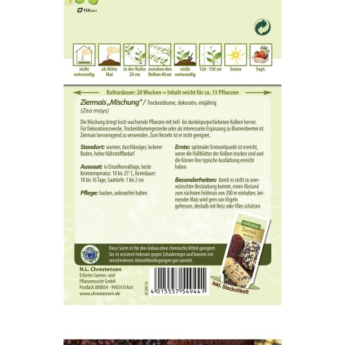 Chrestensen Ziermais 'Mischung'