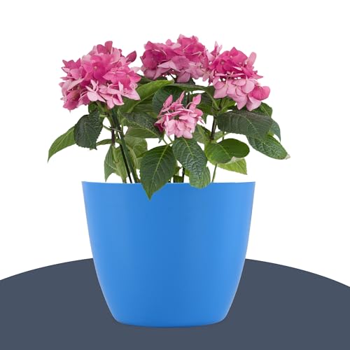Image of Kuber Industries (Pack of 4) Flower Pot | (5 Inch) Plain Cool Plant Stand | Fuldani for Home Decor | Phooldaan for Terrace, Garden | Blue & White