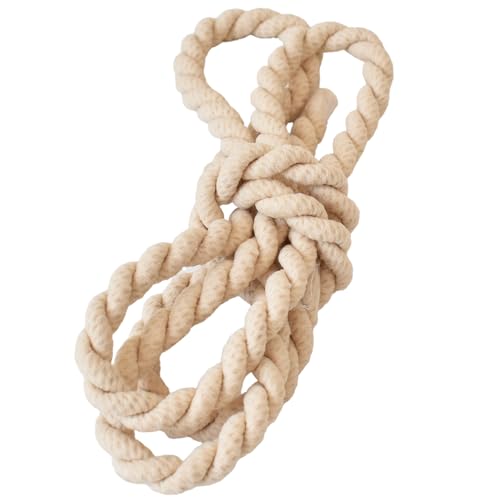 MYmama [v wAS R^Cv 1m O S _S wAANZT[ (i`)