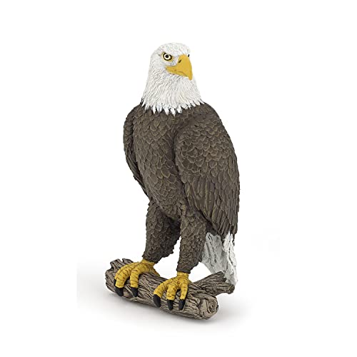 Papo - Statuetta Aquila di Mare Realistica - 3 Anni + - Collezione La Vita Selvaggia - Gioco Educativo Uccelli Rapaci - Idea Regalo Giocattolo Bambina Bambino