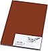 Price comparison product image Folia Bringmann 6385 Paper; DIN A3; 50 sheet (S) Chocolate