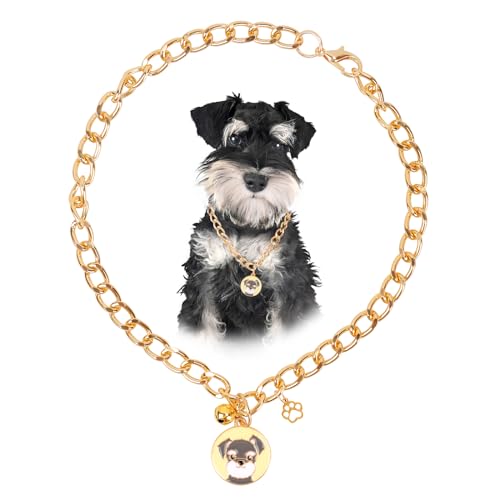 Image of HOWWFALY Dog Collar and Cat Chain Necklace Stainless Steel Adjustable 18K Gold Heart-Shaped Necklace for Small Pets Cats Kitten Puppy (Gold, 14 inch)