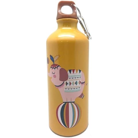 Bouteille aluminium Rocking Gifts 600 ml Cover
