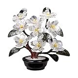 Bonsai artificiale: goditi la sensazione estetica visiva dell'arte dei bonsai, senza il duro lavoro, con questo albero bonsai artificiale per esposizione decorativa.