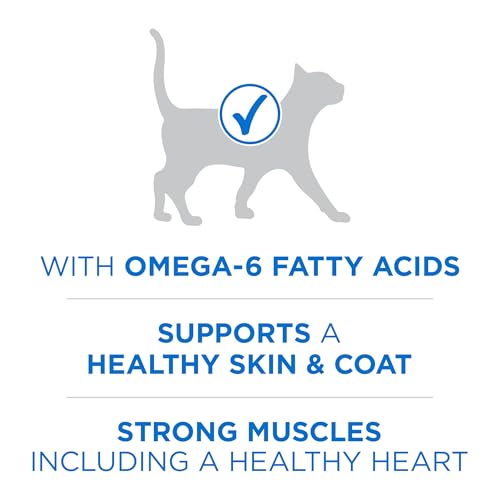 Image of Purina ONE Plus High Protein Cat Food Dry Salmon and Ocean Whitefish Cat Skin and Coat Health Formula - 7 lb. Bag