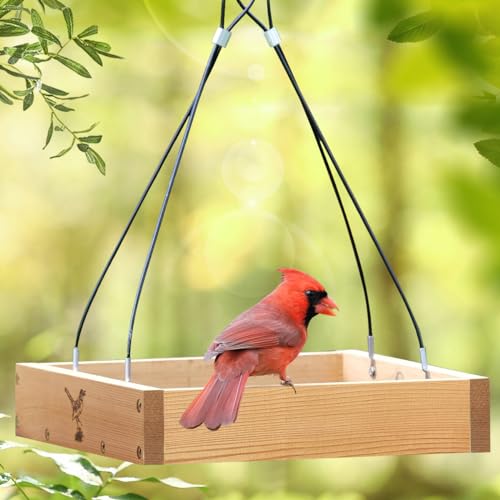 Better-Heavy-Duty-10-Cedar-Platform-Tray-Bird-Feeder-Hanging-Wild-Birdfeeder-Trays-for-Garden-Outdoors-Stainless-Steel-Cable-Mesh-Bottom-Lifetime-Weatherable