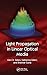 Light Propagation in Linear Optical Media