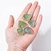 Apengshi 1/2lb（230g) Natural Green Fluorite About 0.59-0.78in Healing Crystal Tumbled Rough Stone Chakra Raw Stone Meditation Reiki Collection