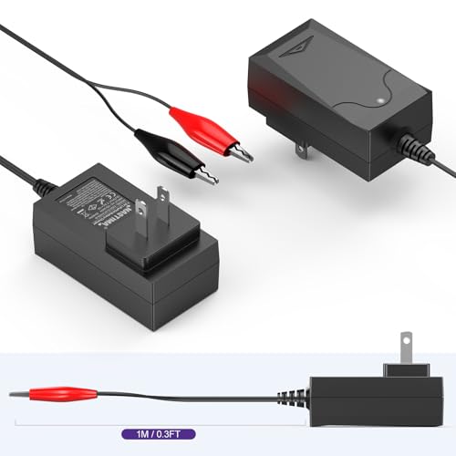 NASTIMA 6V LiFePO4 Battery Charger, 7.3V 1A Smart Charger for 6V Lithium Iron Phosphate Battery with Red and Black Clips and LED Indicator Light