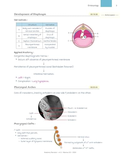 Image of RAPID REVISION 8.0 all-19 sub 6..vol marrow .full colour printed notes spiral binding 2025