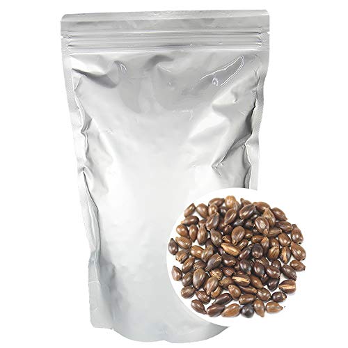 YngM100%Ɩp1Kg ng ͂Ɣ ͂Ƃނ   Y