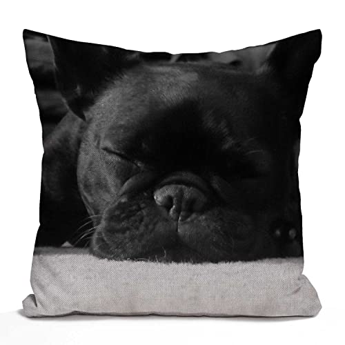 Tomda Housse de coussin en coton et lin Motif bouledogue français 45 x 45 cm