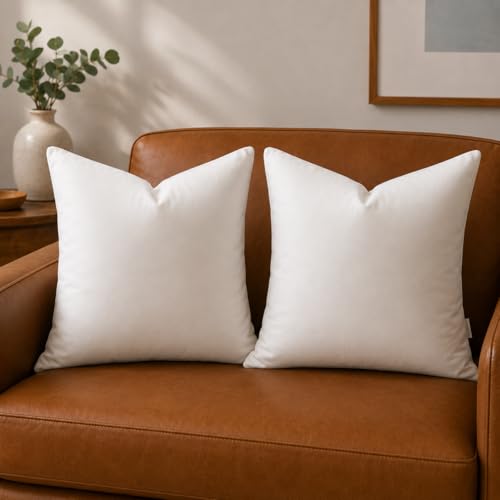 Fluffy Cushions 45x45 cm Cushion Filler Pack of 2
