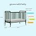 DaVinci Jenny Lind 3-in-1 Convertible Baby Crib - GREENGUARD Gold Certified Portable Convertible Baby Crib to Toddler Bed, Daybed - Durable & Easy to Assemble - 4 Adjustable Mattress Heights - Green