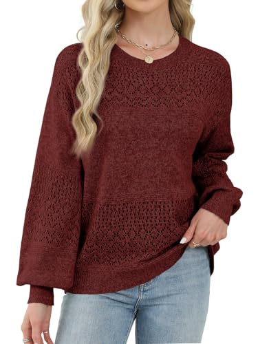 Image of Lylinan Womens Sweaters Casual Boho Long Sleeve Shirts Crewneck Lightweight Crochet Tops Pullover Knit Sweater