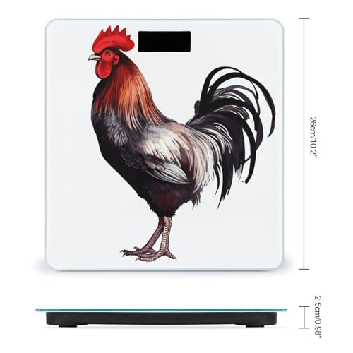 Báscula Digital FekiLoot para Baño con Pantalla Grande miniatura 2
