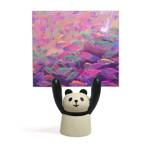 Support de photo panda et poisson océan pour décoration nature