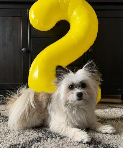 Image of 2 Balloon Numbers Birthday Decorations, 40In Yellow Balloons for Men Women | Eye-catching Appearance, Perfect Decorative Centerpieces, Convenient Self-sealing Structure, Widely for Various Occasions
