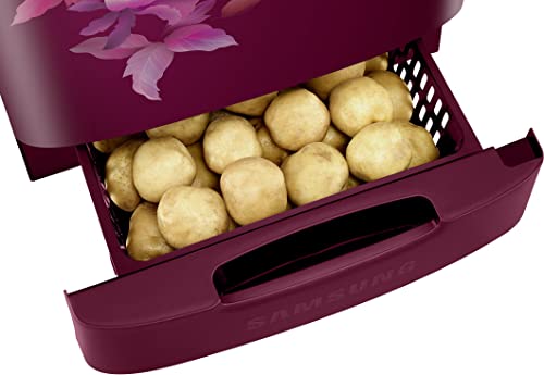 Image of Samsung 183 L, 4 Star, Digital Inverter, Direct-Cool Single Door Refrigerator (RR20C2824HN /NL, Himalaya poppy Red, Base Stand Drawer)