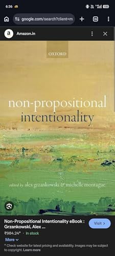 Non-Propositional Intentionality view 2