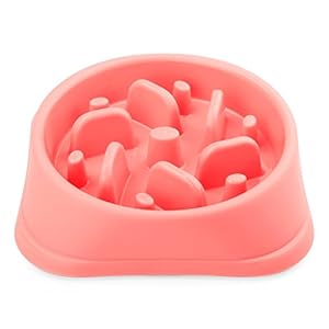 JASGOOD Dog Feeder Slow Eating Pet Bowl Eco-friendly Durable Non-Toxic Preventing Choking Healthy Design Bowl For Dog Pet