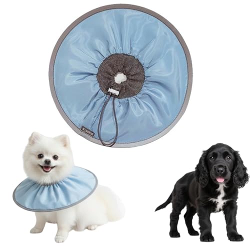 LifetipsCObVRbJ[XpjG CRJLp GUxXJ[ h \tg y pPA ی Ȃߖh~ p EȒP 􂦂 PAJ[(xr[u[j(Lj