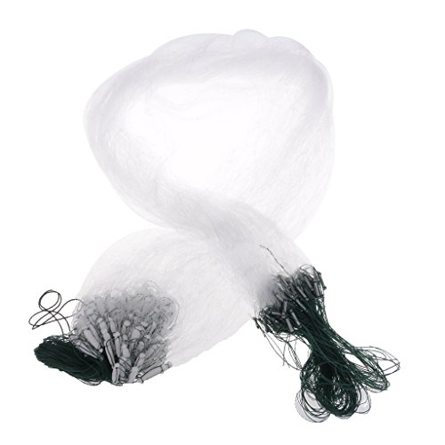 25mtBbVObVgbvmtBghԃlbg^bNt[gAVJ[t - ̑傫3x3cm