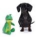 Zappi Co Grüner Frosch Plüsch mit Quietscher – Weich, gerippt, interaktives Spielzeug für kleine/mittelgroße Hunde.