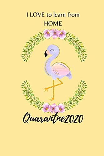QUARANTINE KIDS 2020: Homeschool Activity Journal - I LOVE to learn from HOME For Kids Girls Boys Parent Social Distancing Cute FLAMING Cover Notebook