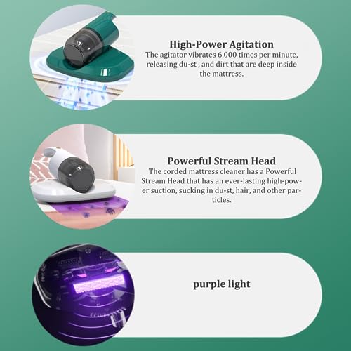 Aspirapolvere portatile, detergente per